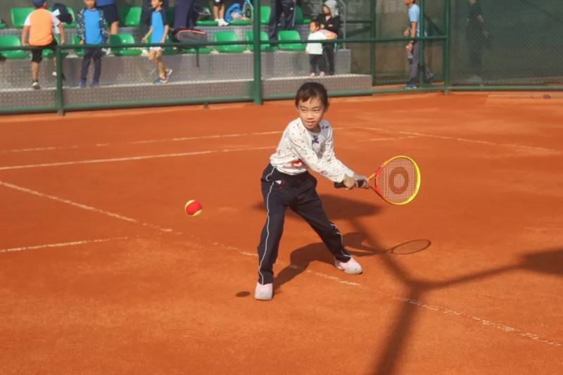 qq图片20191127175430